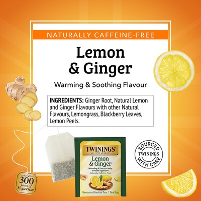 Twinings Lemon and Ginger Herbal Tea Bags, 50/Box (F14990)