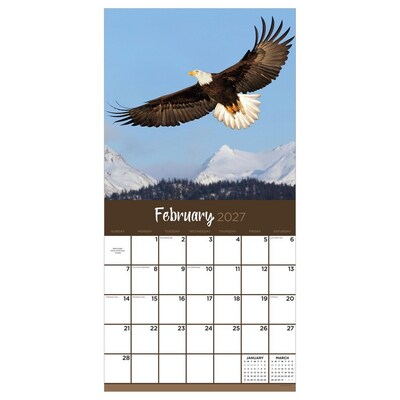 2027 TF Publishing Wild 11 x 12 Monthly Wall Calendar, Multicolored (27-1032)