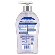 Softsoap Antibacterial Liquid Hand Soap, White Tea & Berry Fusion, 11.25 Oz. (US03574A)