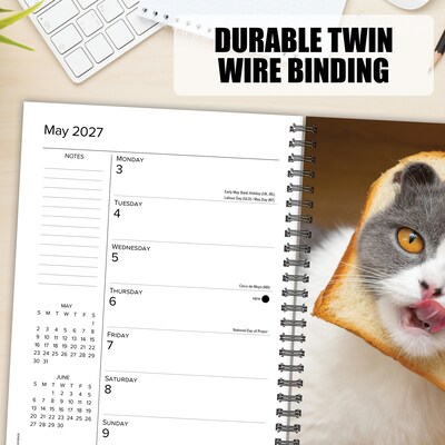 2027 Willow Creek Cat-astrophe 6.5" x 8.5" Weekly & Monthly Desk Calendar (64351)