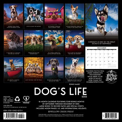 2025 Willow Creek Dogs Life 12 x 12 Monthly Wall Calendar (42731)