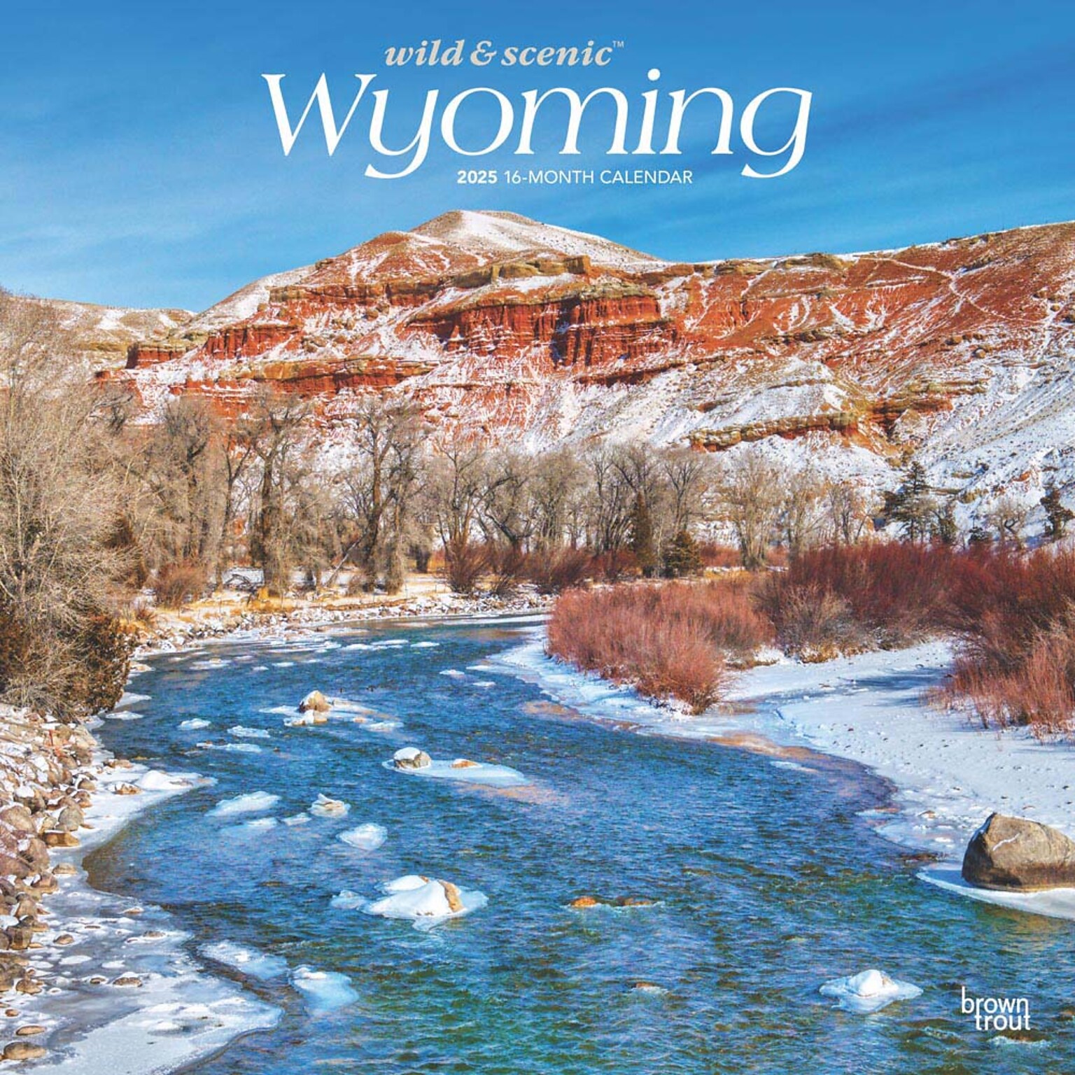 2025 BrownTrout Wyoming Wild & Scenic 12 x 12 Monthly  Wall Calendar (9781975475987)