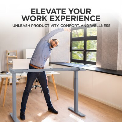 Uncaged Ergonomics Rise Up Electric Adjustable Height Desk Frame, Gray (Rug)