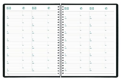 Rediform Timanager DuraFlex Appointment Book (REDC5930V81T)
