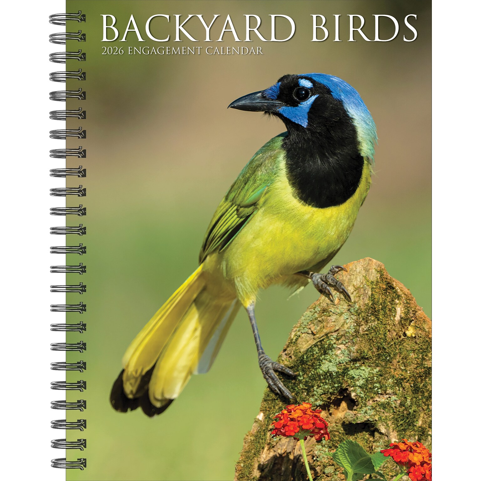 2026 Willow Creek Backyard Birds 6.5 x 8.5 Daily & Monthly Personal Organizer (54574)