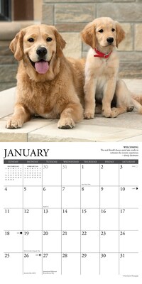 2026 Willow Creek Golden Rules 12" x 12" Monthly Wall Calendar (51290)