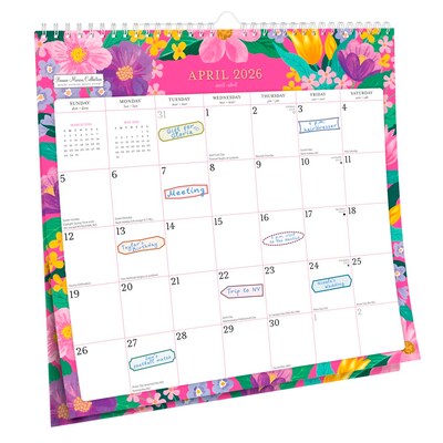 2025-2026 Plato Bonnie Marcus 12" x 12" Academic Monthly Wall Calendar (9798330700141)