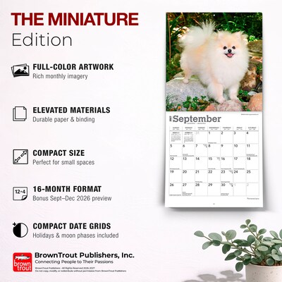 2027 BrownTrout Pomeranians 7" x 7" Monthly Wall Calendar (9798330710058)