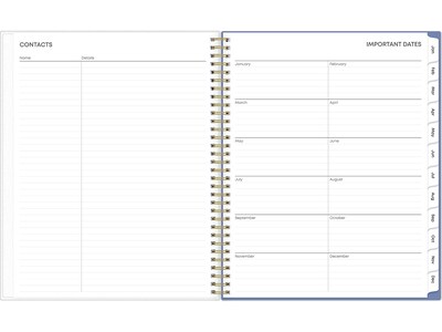 2025 Blue Sky Cocorrina 8.5" x 11" Weekly & Monthly Planner, Plastic Cover, Multicolor (143696-25)