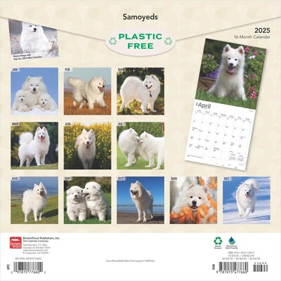 2025 BrownTrout Samoyeds 12" x 12" Monthly Square Wall Calendar (9781975477660)