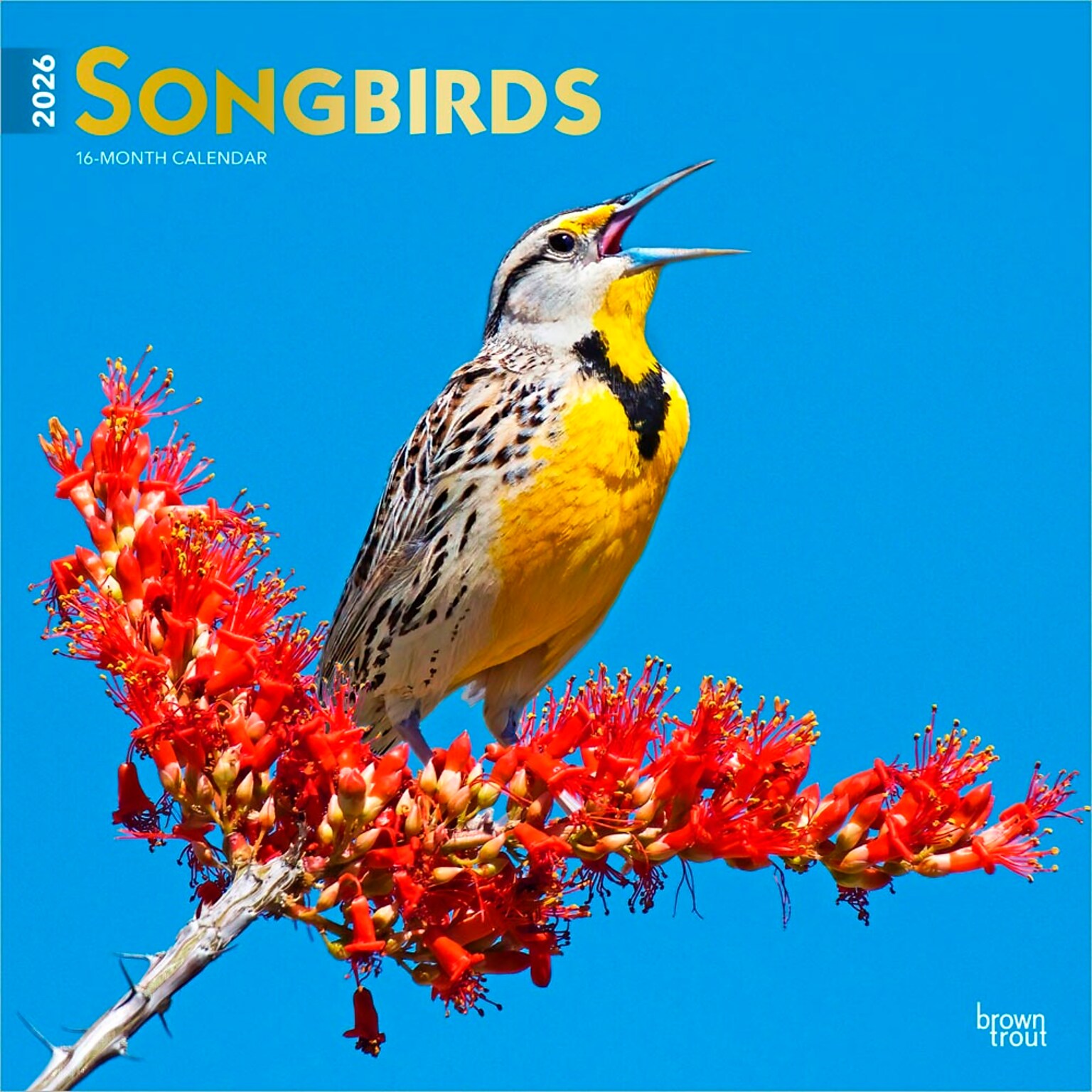 2026 BrownTrout Songbirds 12 x 12 Monthly Wall Calendar (9798330705634)
