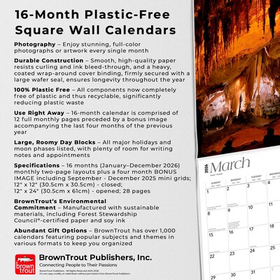 2026 BrownTrout New Mexico Wild & Scenic 12" x 12" Monthly Wall Calendar (9798330704859)