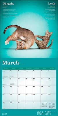 2026 Plato Yoga Cats Together 12" x 12" Monthly Wall Calendar (9798330701926)