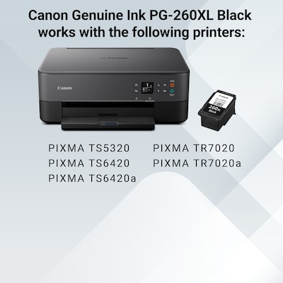 Canon PG-260 XL Black High Yield Ink Cartridge  (3706C001)