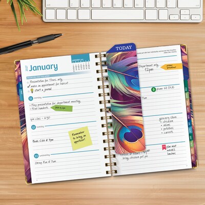 2027 Excello Brands 6 x 8 Weekly & Monthly Standard Planner, Paperboard Cover, Pastel Peacock (FSHN-CY27-58-61)