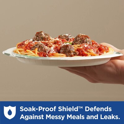 Dixie Ultra Pathways 10" Paper Plates, Multicolor, 500/Carton (SXP10PATH)