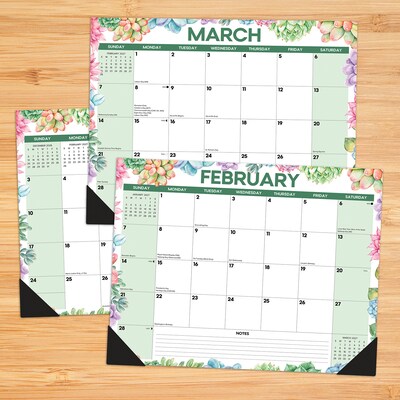 2027 Willow Creek Succulents 22 x 17 Monthly Desk Pad Calendar, Assorted Colors (66638)