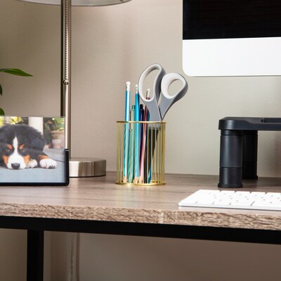 Mind Reader Metal Pen Holder, Gold, 3 Pieces (GOLDPEN3-GLD)