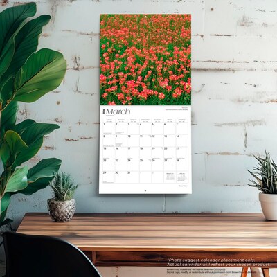 2026 BrownTrout Texas Nature 12" x 12" Monthly Wall Calendar (9798330705801)