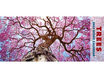 2023 Willow Creek Trees 6.5 x 15 Monthly Wall Calendar (29350)