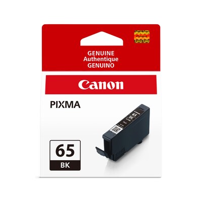 Canon 65 BK Black Standard Yield Ink Cartridge (4215C002)