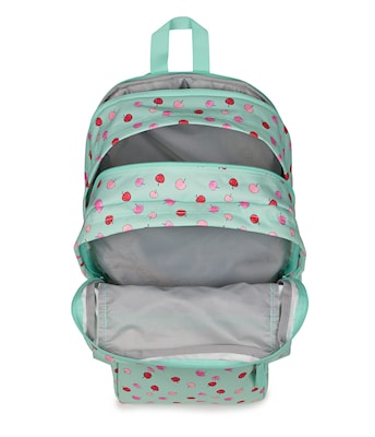 JanSport Big Student Laptop Backpack, Large, Apple Orchard (JS0A47JKA3D)