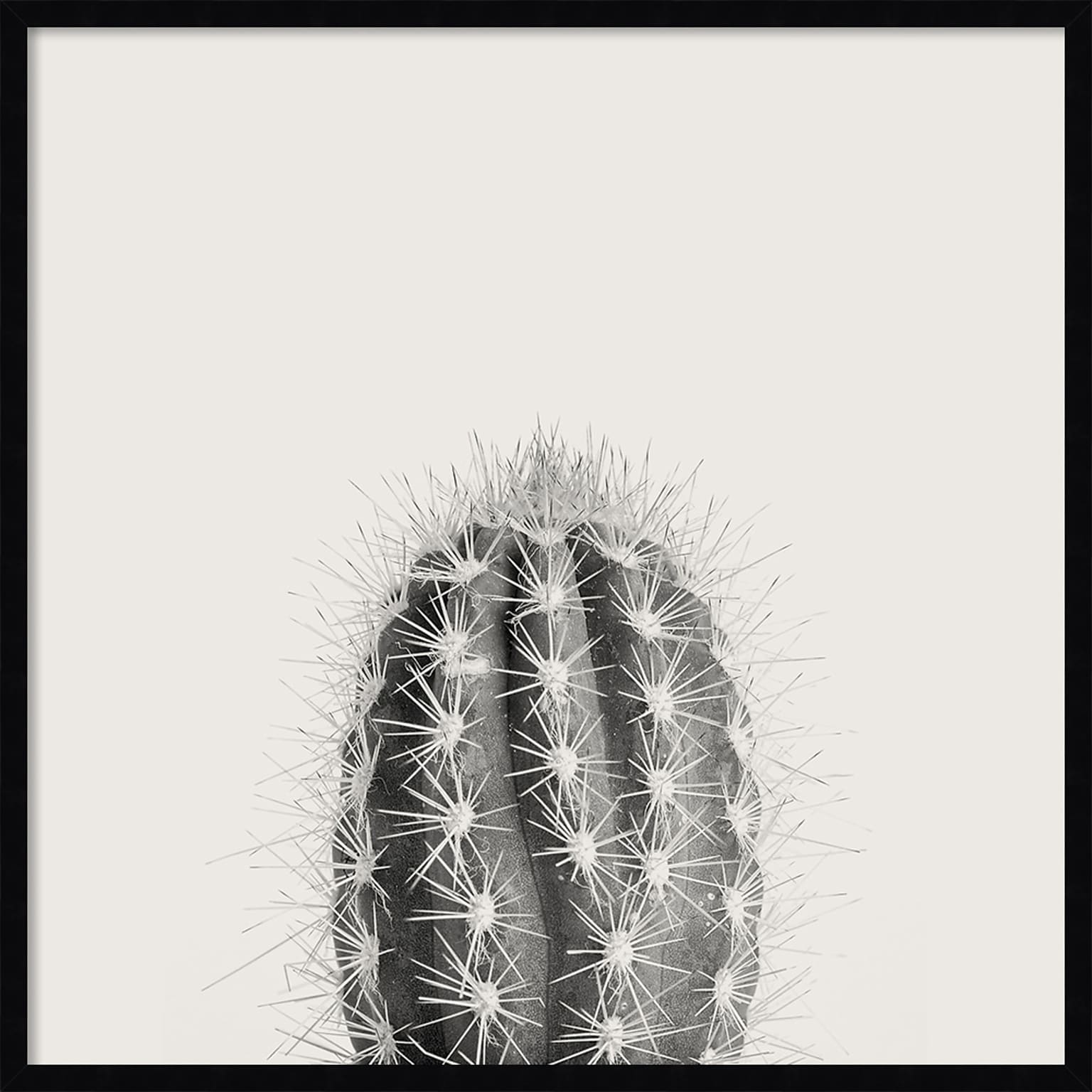 Amanti Art Haze Cactus Succulent Tall by The Creative Bunch Studio Wood Framed Wall Art Print, 33 x 33 (A42675345771)