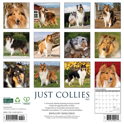 2025 Willow Creek Collies 12 x 12 Monthly Wall Calendar (42519)