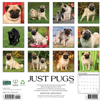 2027 Willow Creek Multi 12 x 12 Monthly Wall Calendar, Assorted Colors (61947)