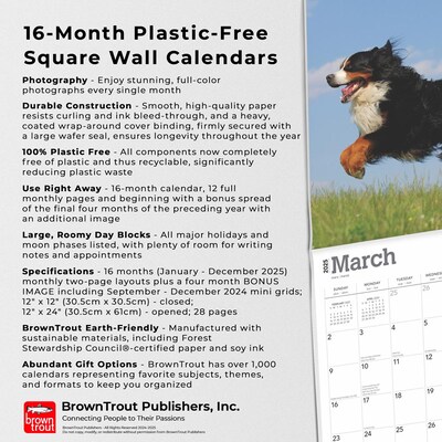 2025 BrownTrout Bernese Mountain Dogs 12" x 12" Monthly Wall Calendar (9781975476625)