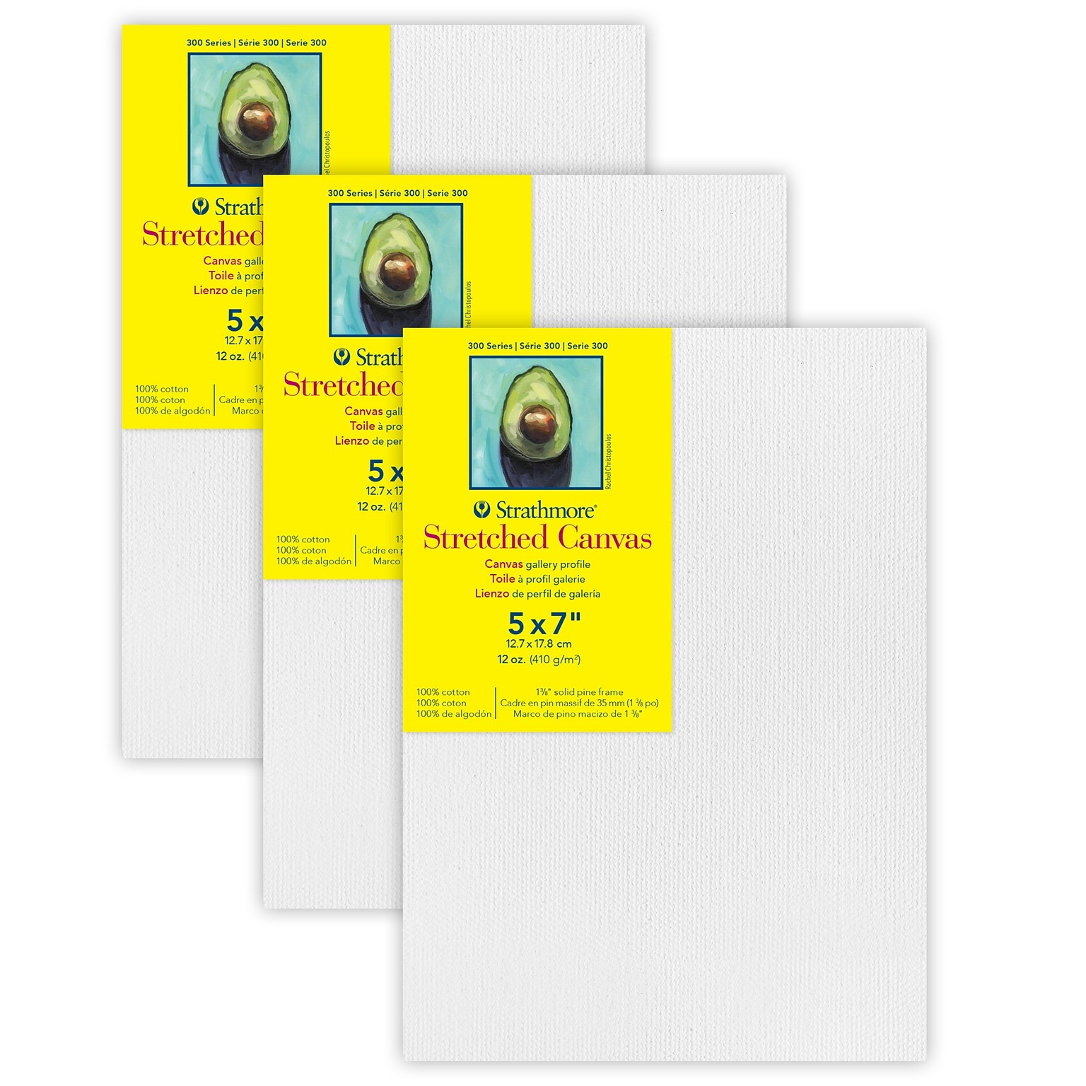Strathmore 300 Series Primed Gallery Stretched Canvas, 5 x 7, 3/Bundle (STT31407-3)