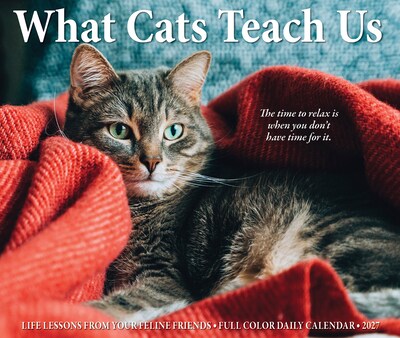 2027 Willow Creek What Cats Teach Us 5.4" x 6.2" Day-to-Day Calendar (63828)