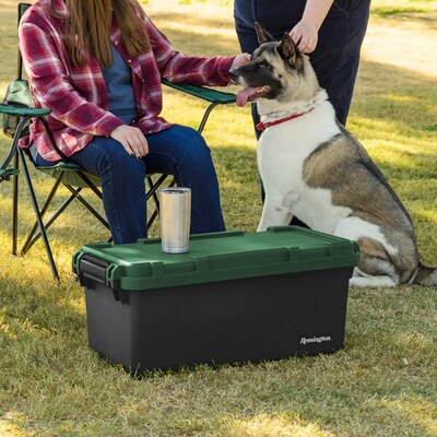 Iris Heavy Duty 60 Qt. Storage Bin with Latching Lid, Plastic, Black, 2/Pack (500334)