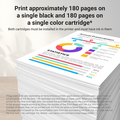 Canon PG-295/CL-286 Black/Tri-Color Standard Yield Ink Cartridge, 2/Pack (7165C004)