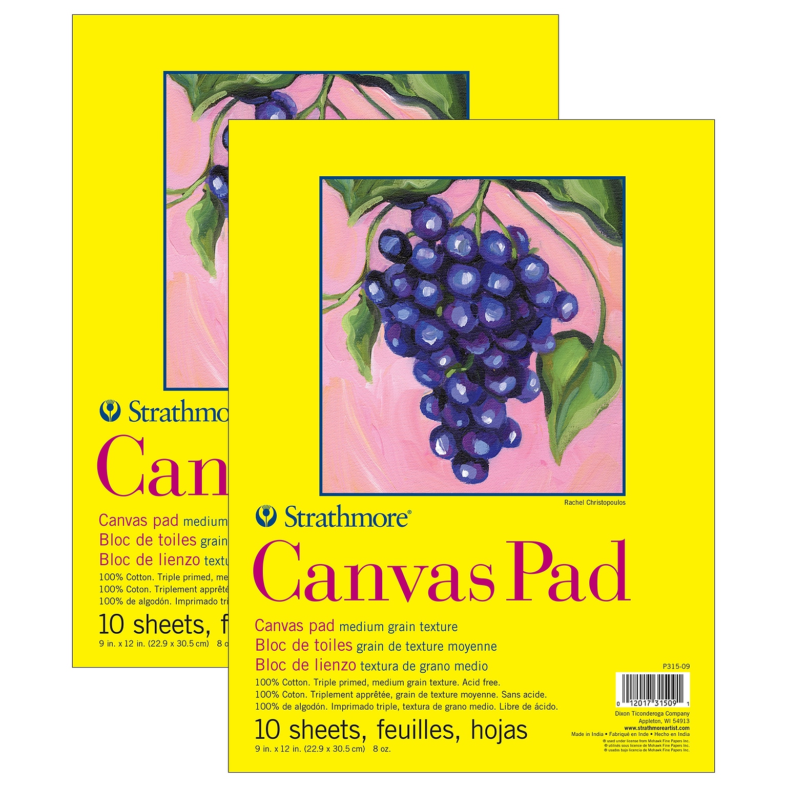 Strathmore 300 Series 9 x 12 Tape Bound Canvas Pad, 10 Sheets/Pad, 2 Pads/Bundle (STTP31509-2)