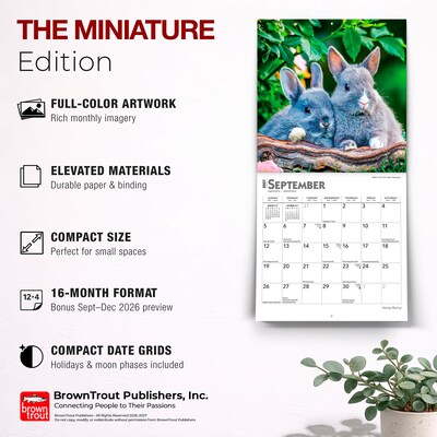 2027 BrownTrout Honey Bunny 7" x 7" Monthly Wall Calendar (9798330709809)