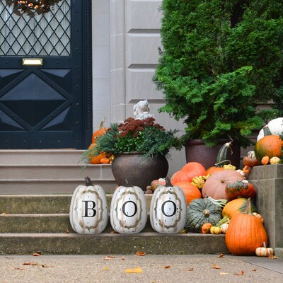 National Tree Company 13 BOO Pumpkin Assortment (RAH-ZHS10294A)