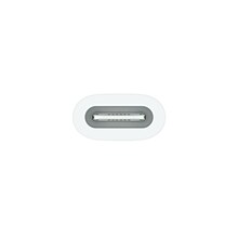 Apple USB-C to Pencil Adapter, White (MQLU3AM/A)