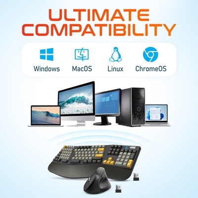 Delton Wireless Ergonomic Mechanical Keyboard with Wrist Rest and Vertical Computer Mouse, Black (DKME450PKT1)