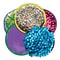 Essential Learning Sensory Discs, Assorted Colors, 5/Set (ELP866300)