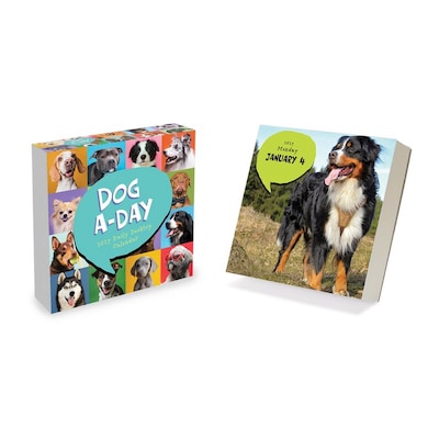 2027 TF Publishing Dog A Day 5.25 x 5.25 Daily Day-to-Day Calendar, Multicolored (27-3008)