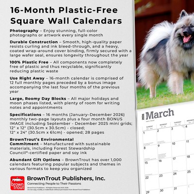 2026 BrownTrout Keeshonden 12" x 12" Monthly Wall Calendar (9798330704033)
