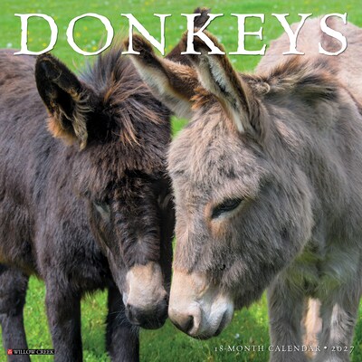 2027 Willow Creek Donkeys  12 x 12 Monthly Wall Calendar (65204)