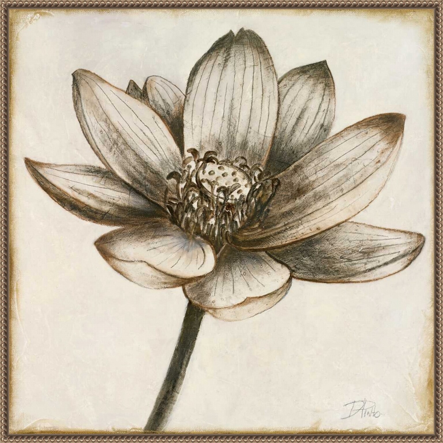 Amanti Art Sepia Lotus Blossom II by Patricia Pinto Framed Canvas Wall Art Print, 30 x 30 (A42678299854)