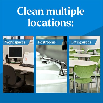 CloroxPro Clorox EcoClean All Purpose Cleaner Degreaser Spray Bottle, 32 fl. oz. (60276)