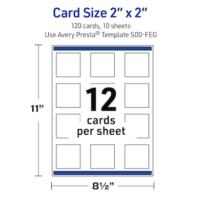 Avery Gold-Blue Border Berries Matte Blank Card, White, 120/Pack (S00-FEG)