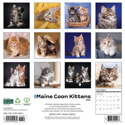 2026 Willow Creek Maine Coon Kittens 12 x 12 Monthly Wall Calendar (51856)
