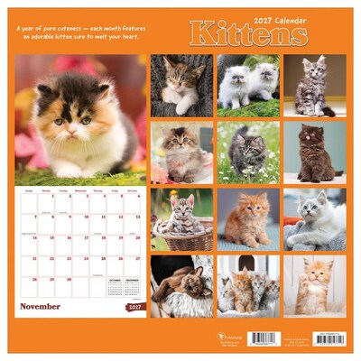 2027 TF Publishing Kittens 12" x 12" Monthly Wall Calendar (27-1013)