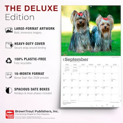2027 BrownTrout For the Love of Yorkshire Terriers 14" x 12" Monthly Wall Calendar, Assorted Colors (9798330709281)