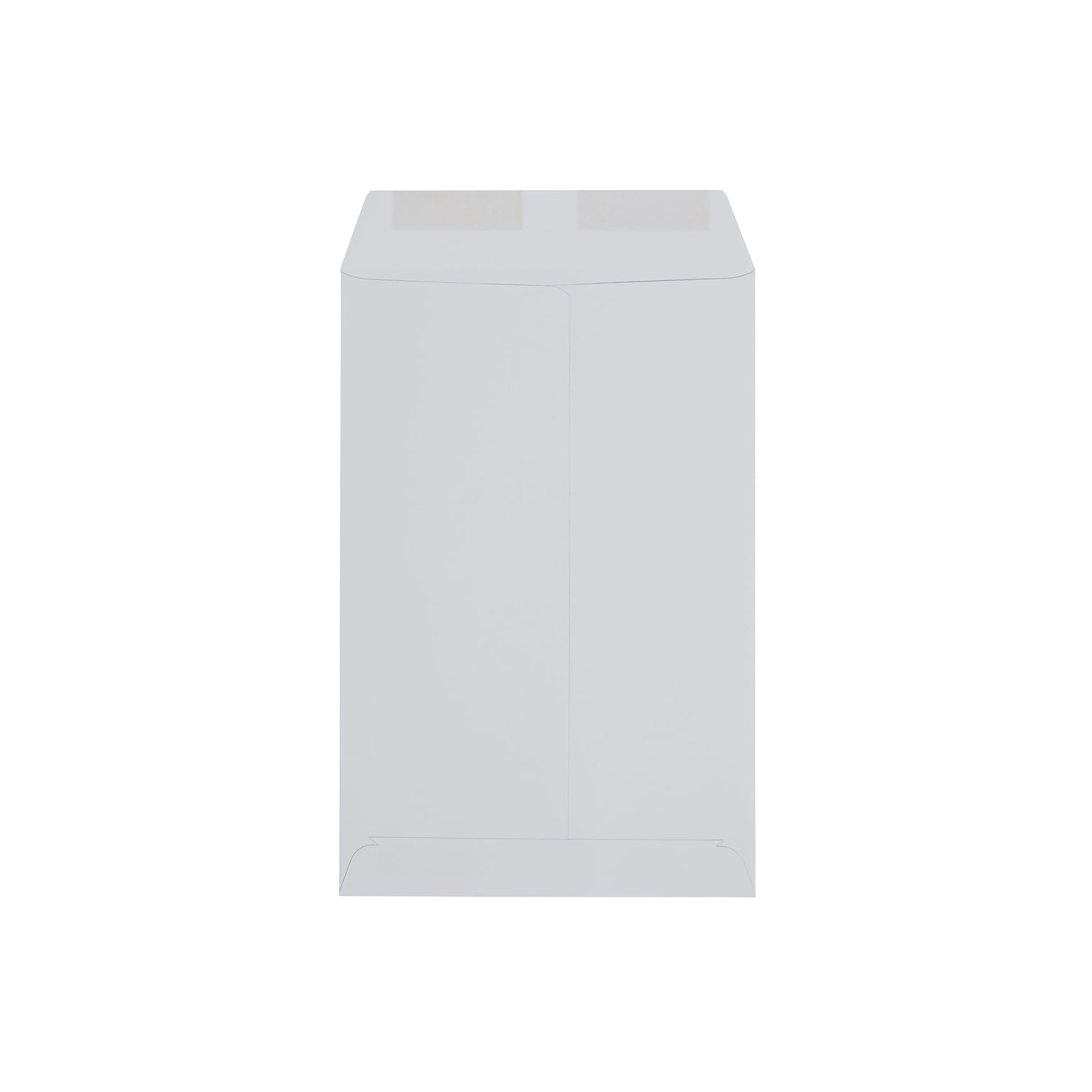 Staples 6 x 9 Economy Catalog Envelopes, White Wove, Gummed Flap Seal, Lightweight Document Mailers, 250/Box